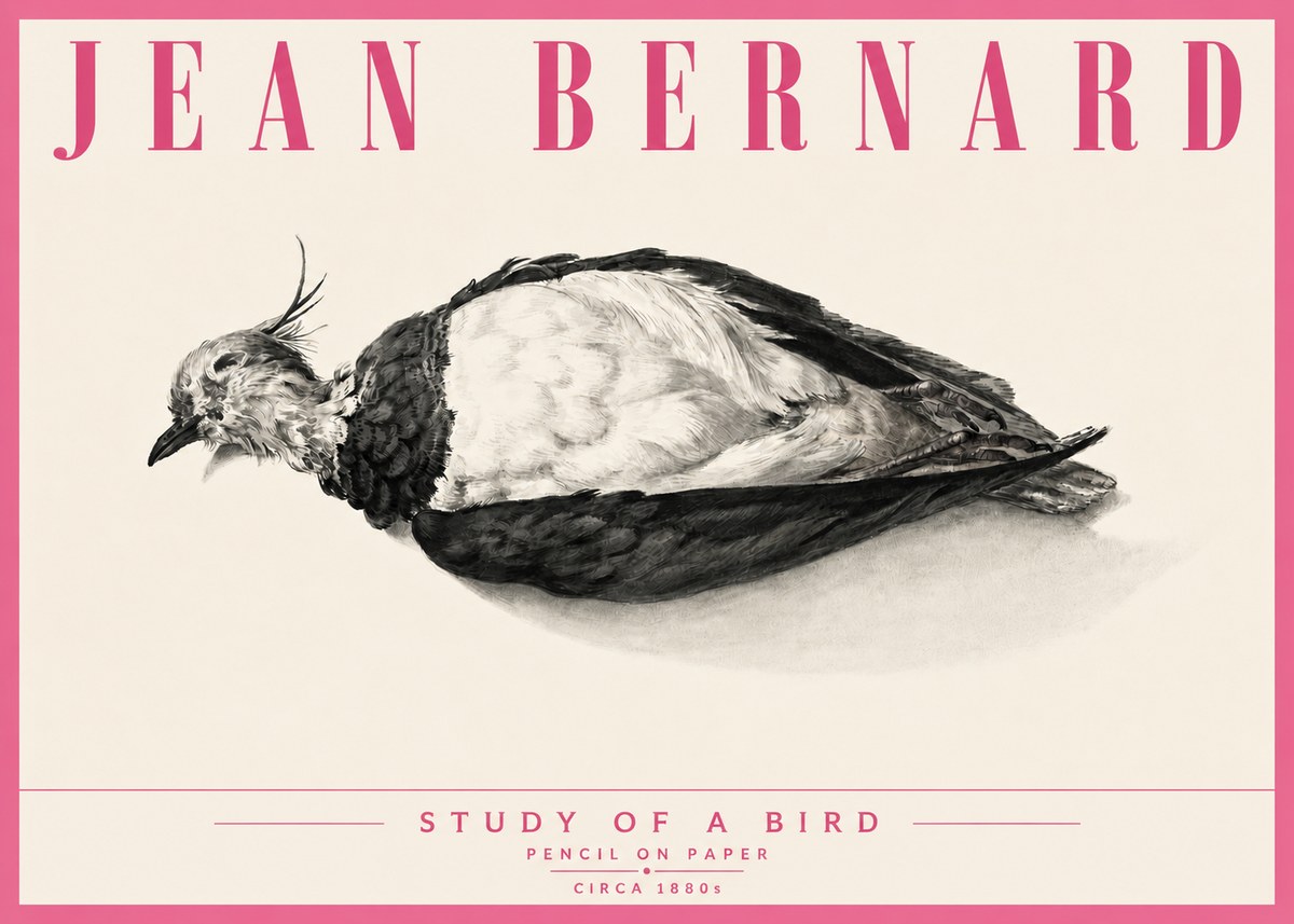 Jean Bernard Study of a Bird II No6 - Poster