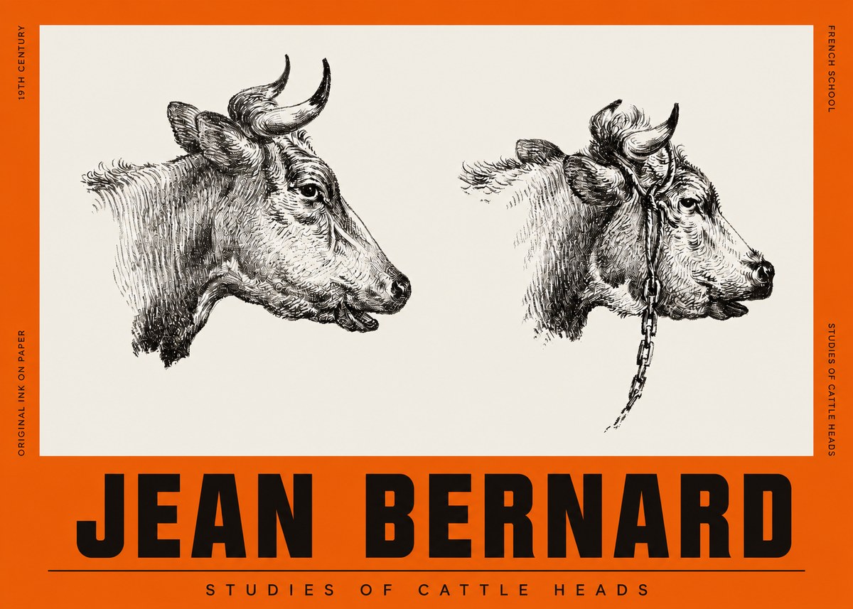 Jean Bernard Studies of Cattle Heads No2 - Poster