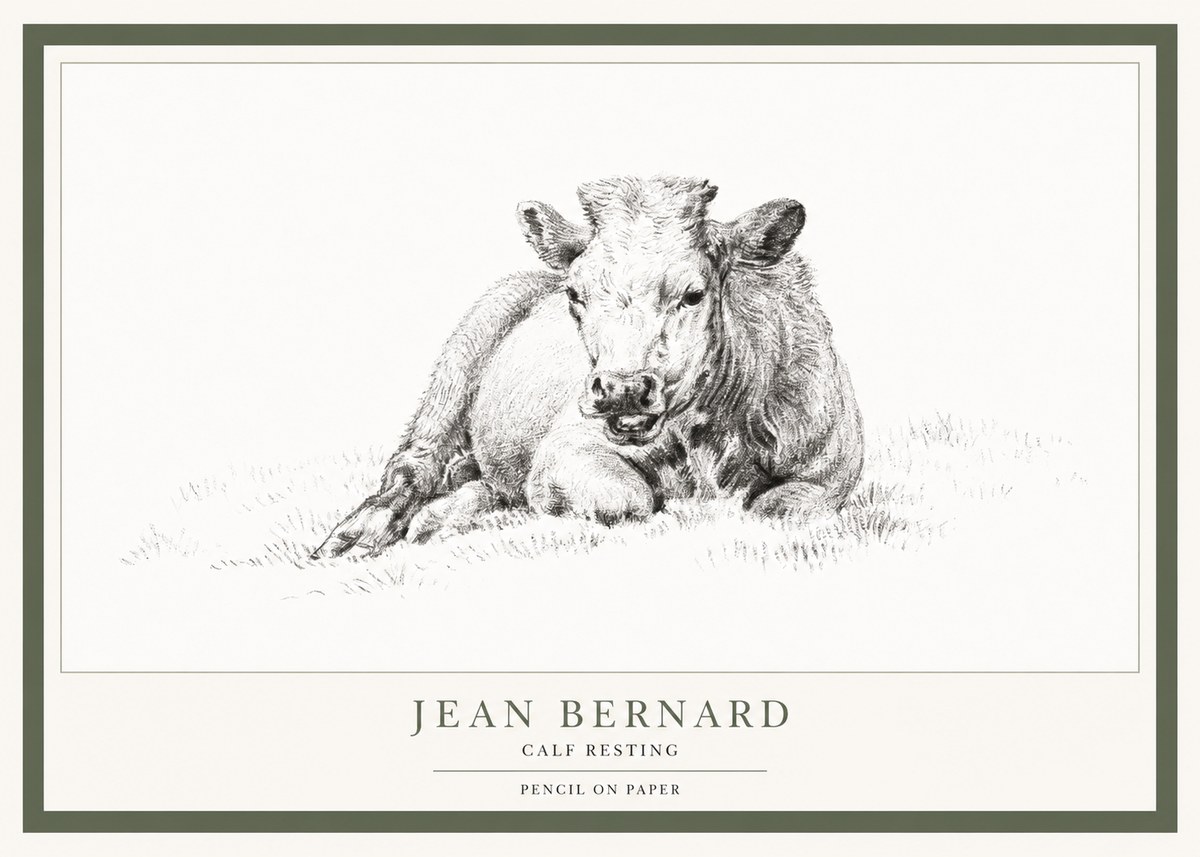 Jean Bernard Calf Resting No1 - Poster