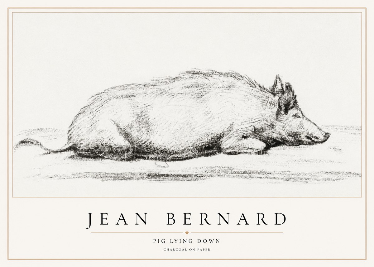 Jean Bernard Resting Pig I No2 - Poster