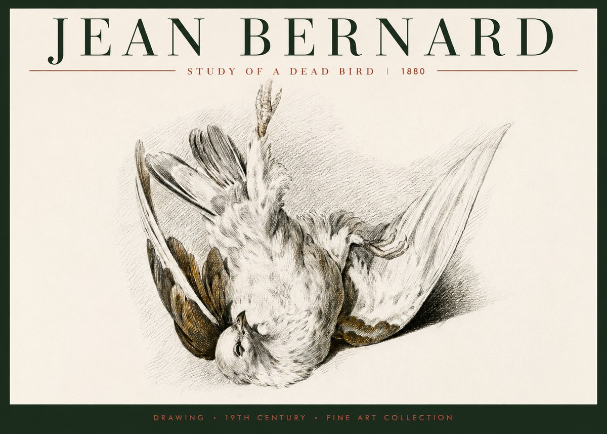 Jean Bernard Study of a Dead Bird No6 - Poster