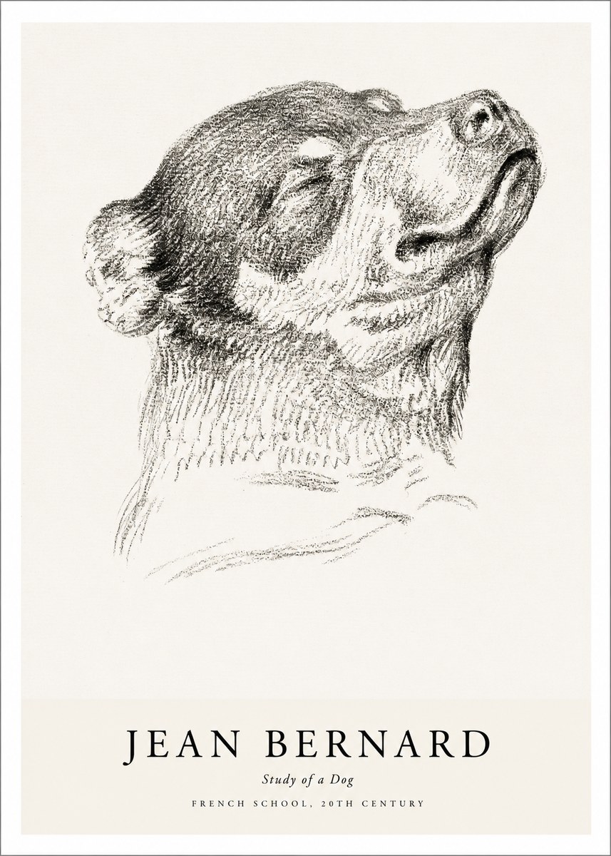 Jean Bernard Study of a Dog III No1 - Poster