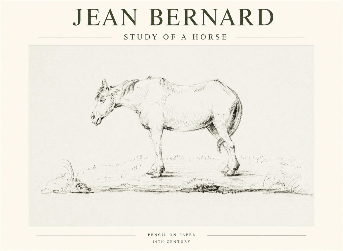 Jean Bernard Study of a Horse IX No1 - Poster