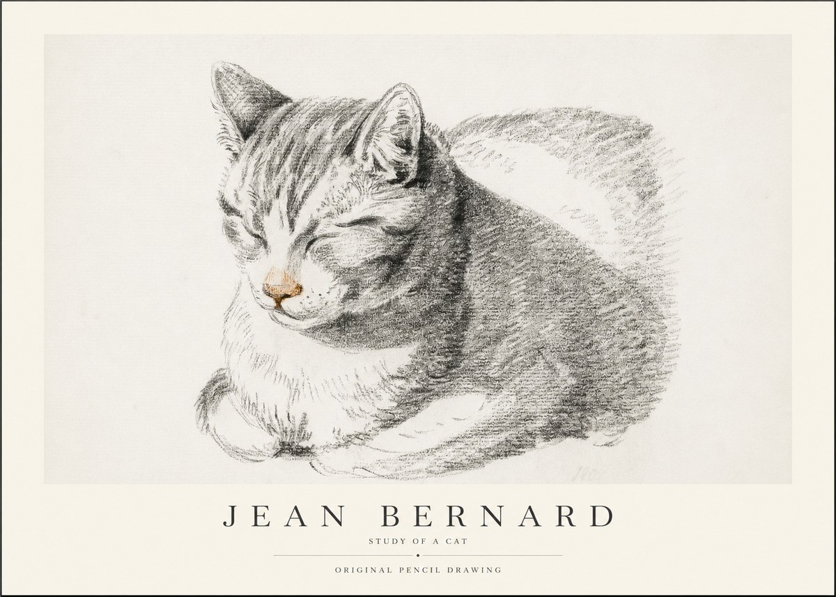 Jean Bernard Sleeping Cat VI No2 - Poster