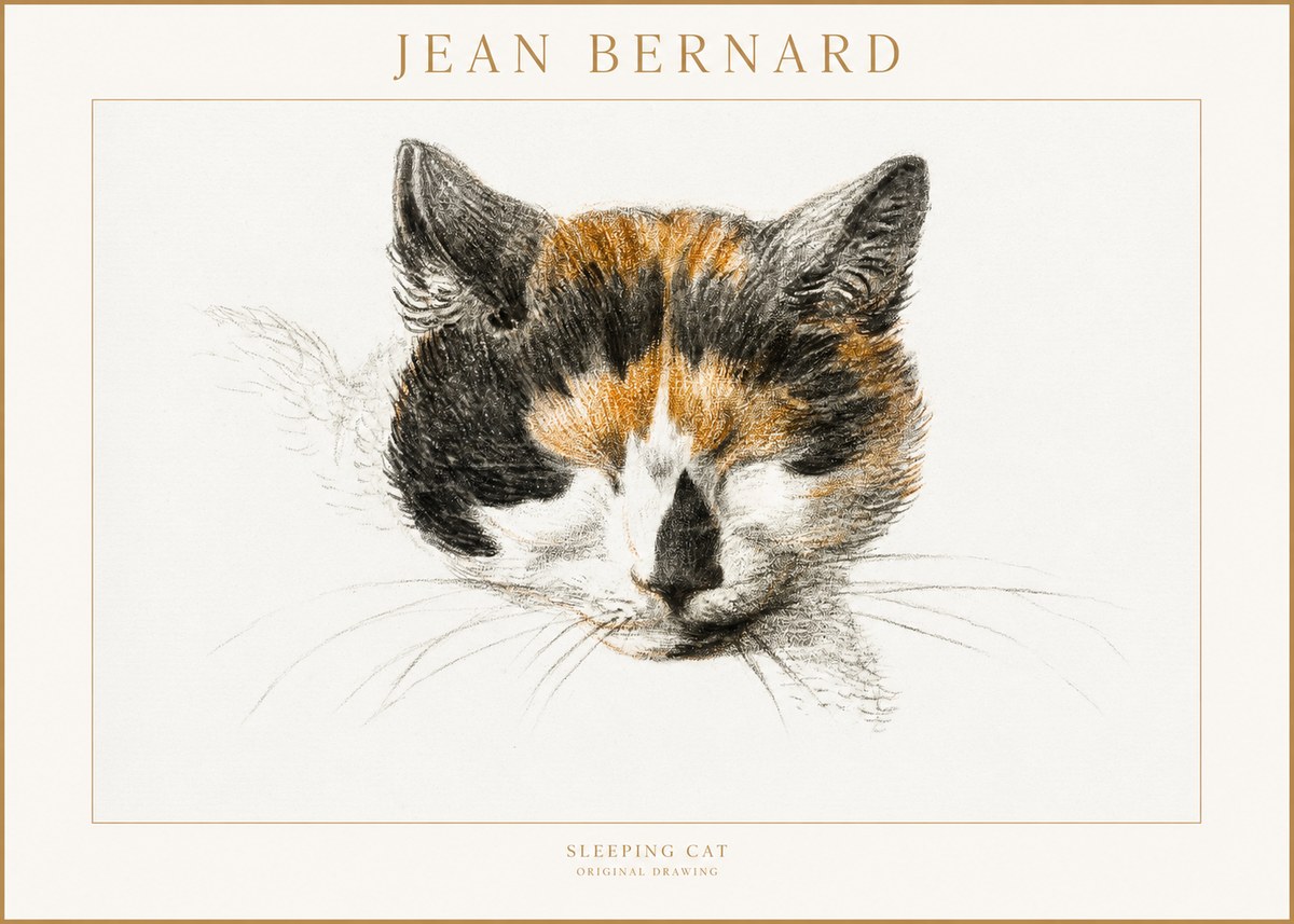 Jean Bernard Cat Study VIII No4 - Poster
