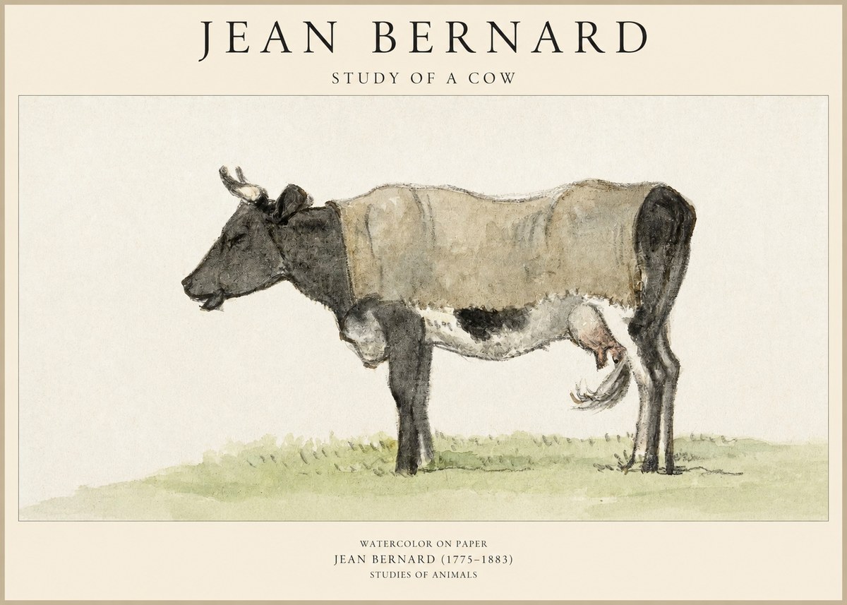 Jean Bernard Study of a Cow IX No6 - Poster