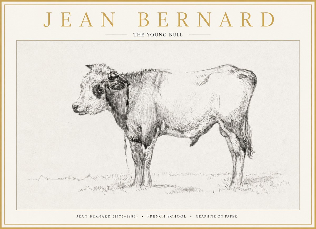 Jean Bernard The Young Bull No1 - Poster