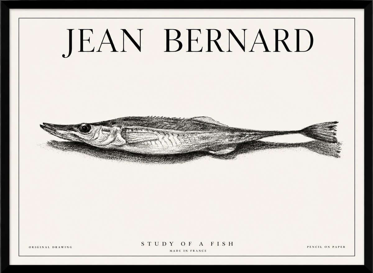 Jean Bernard Needlefish No6 - Poster