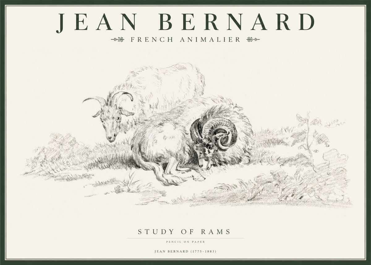 Jean Bernard Study of Sheep No2 - Poster