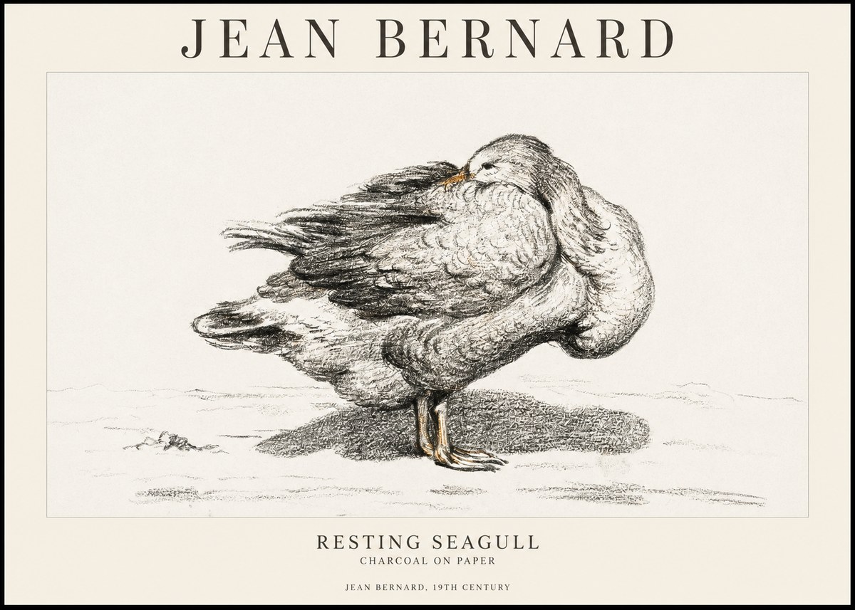Jean Bernard Resting Seagull No1 - Poster