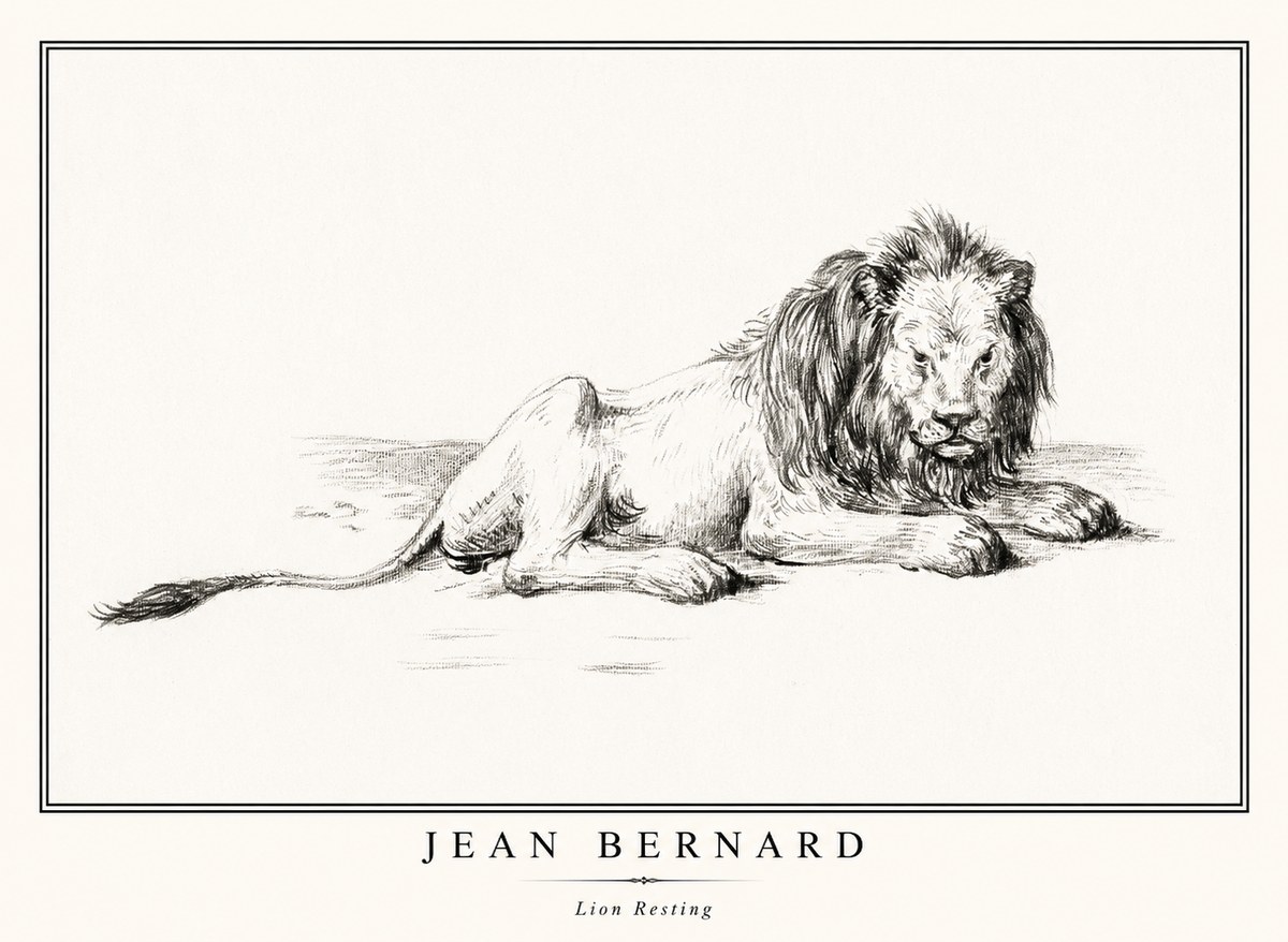 Jean Bernard Lion Resting No1 - Poster