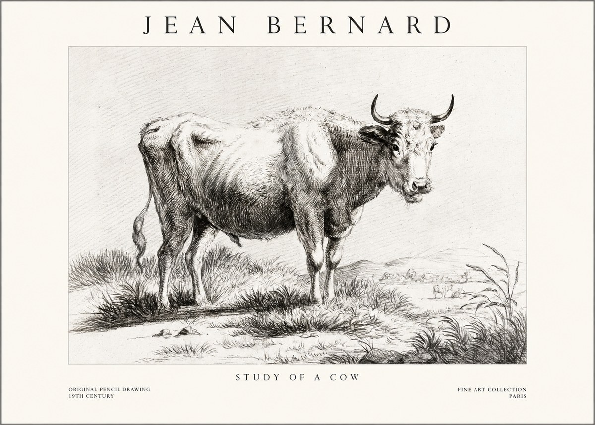 Jean Bernard Study of a Cow XVI No1 - Poster