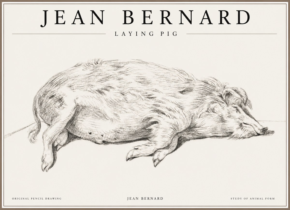 Jean Bernard Laying Pig No1 - Poster