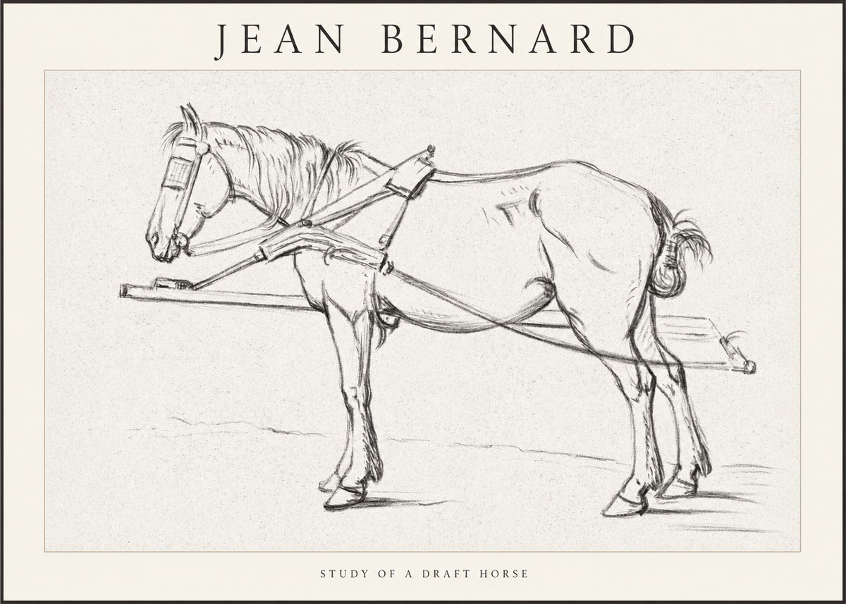Jean Bernard Study of a Draft Horse II No1 - Poster