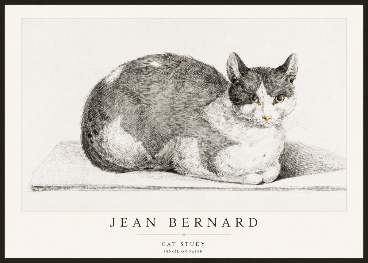 Jean Bernard Cat Study XI No2 - Poster