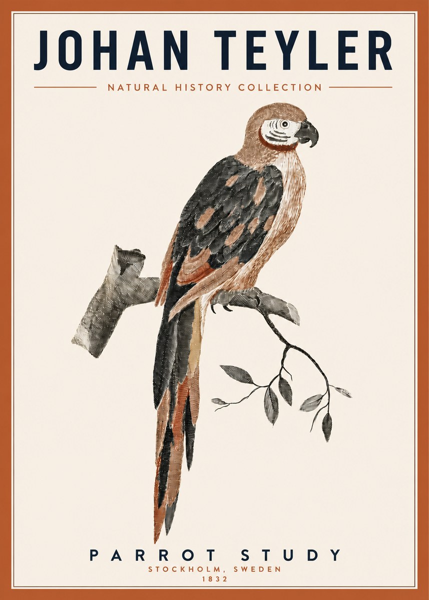 Johan Teyler Parrot Study I No3 - Poster