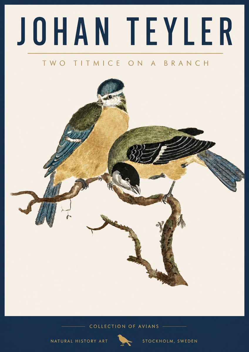 Johan Teyler Two Titmice on a Branch No5 - Poster