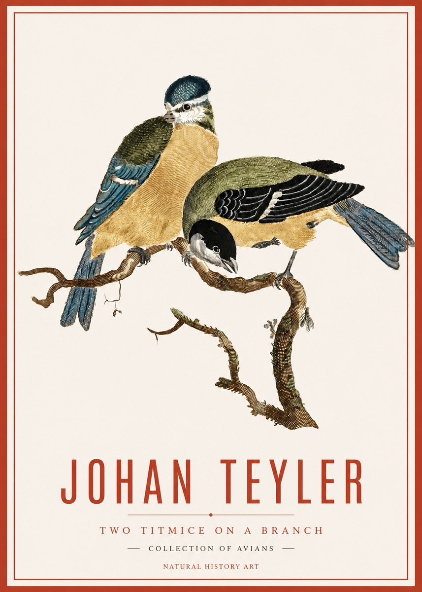 Johan Teyler Two Titmice on a Branch No6 - Poster