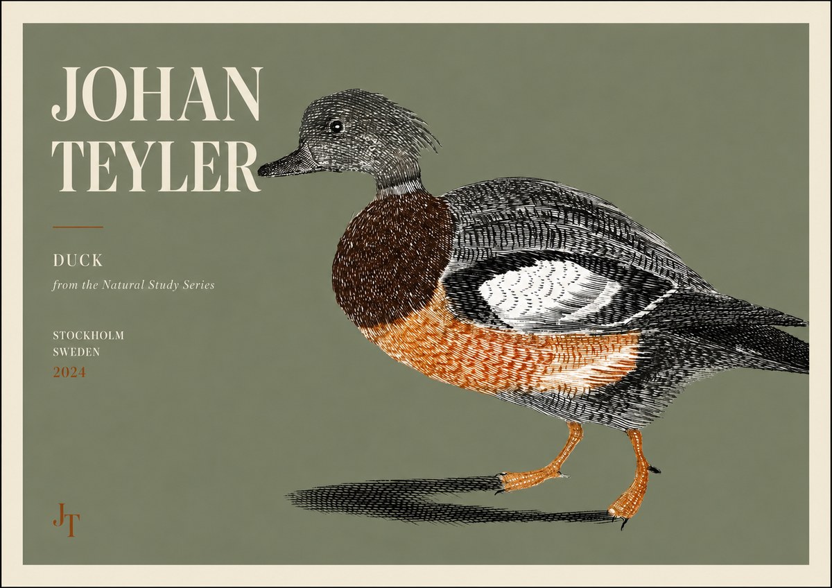 Johan Teyler Duck II No3 - Poster