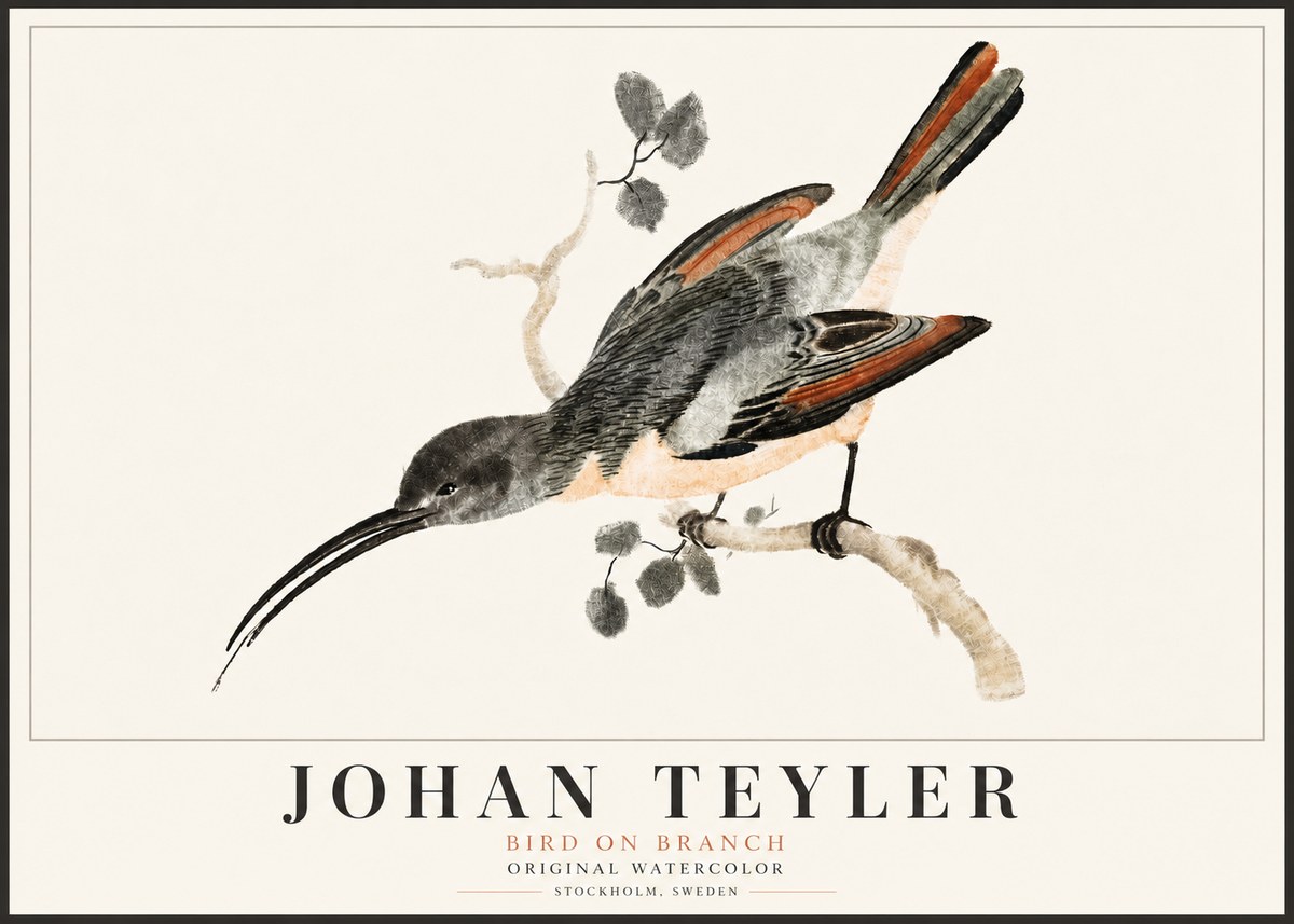 Johan Teyler Bird on Branch II No5 - Poster
