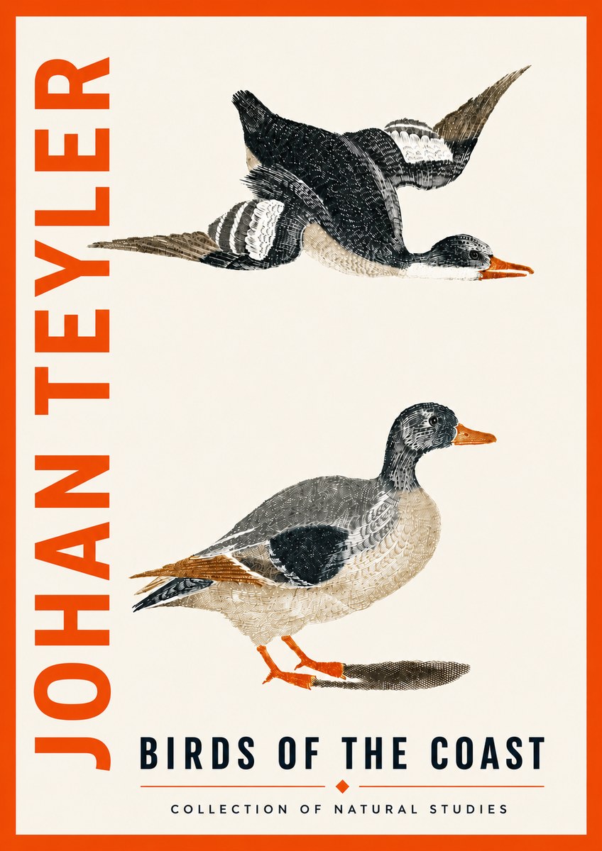 Johan Teyler Birds of the Coast No5 - Poster