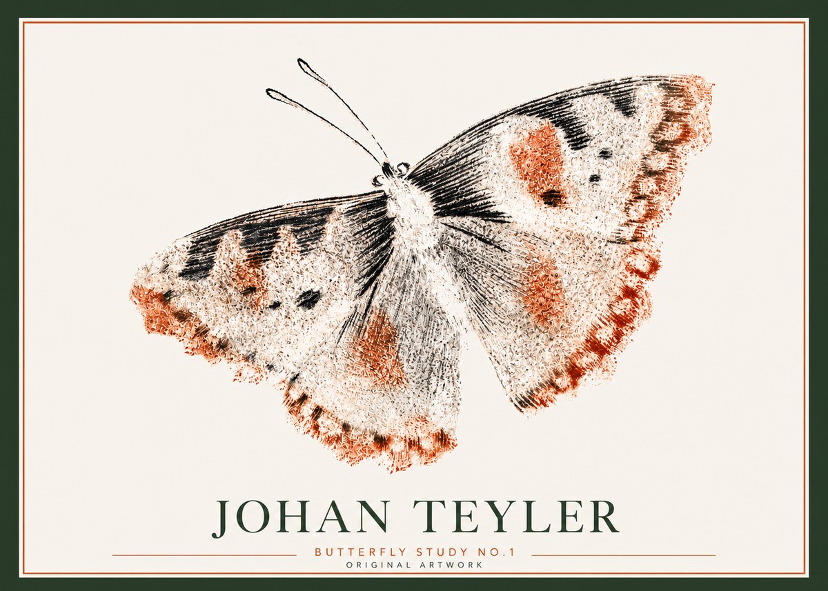 Johan Teyler Butterfly Study No.1 No3 - Poster