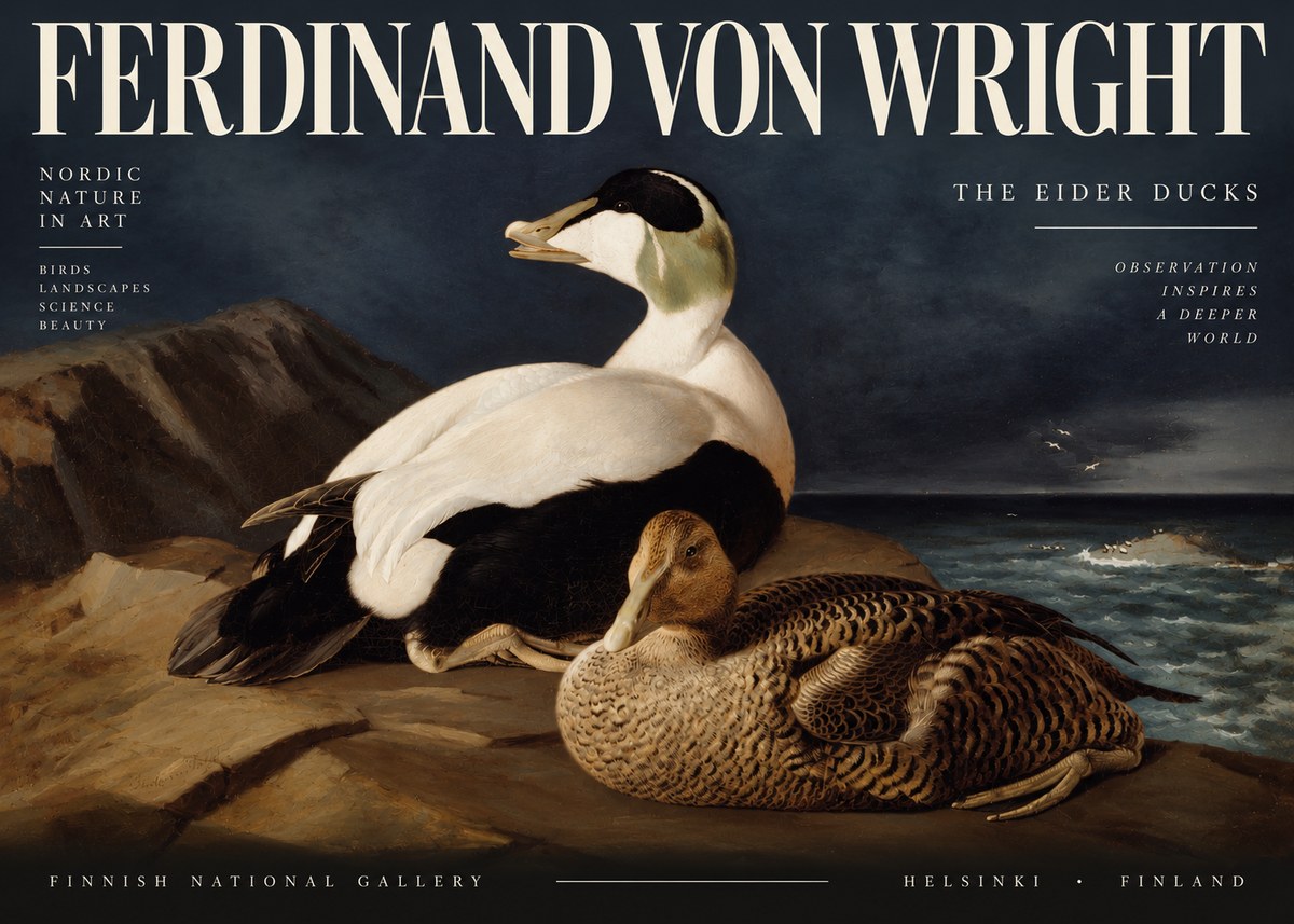 Ferdinand von Wright Eiders on a Rocky Shore No4 - Poster