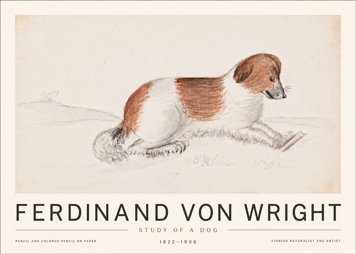 Ferdinand von Wright Study of a Dog No6 - Poster